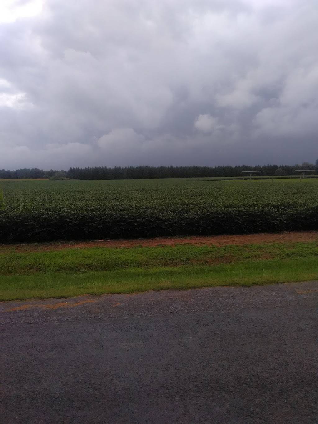 The Broken Knuckle | night club | 7 Queen St, Crysler, ON K0A 1R0, Canada | 6139875250 OR +1 613-987-5250