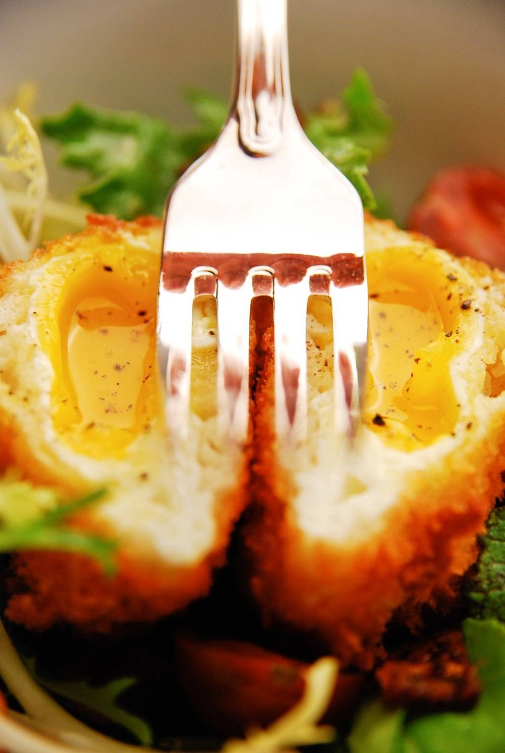 The Buffalo Club | restaurant | 1520 Olympic Blvd, Santa Monica, CA 90404, USA | 3104508600 OR +1 310-450-8600