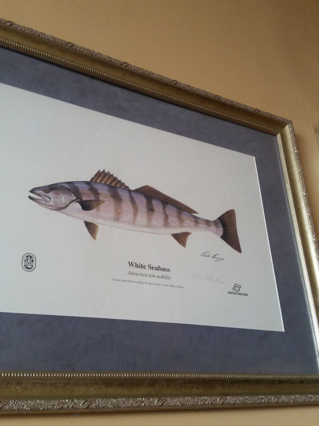 Mariscos Güero | restaurant | 2150 South St, Long Beach, CA 90805, USA | 5626342886 OR +1 562-634-2886