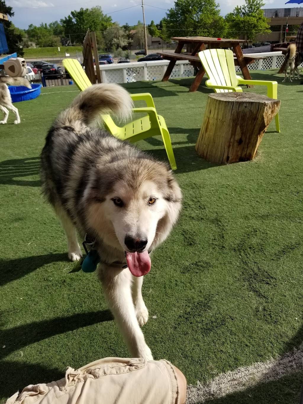 The Watering Bowl | restaurant | 5411 Leetsdale Dr, Denver, CO 80246, USA | 3035919069 OR +1 303-591-9069