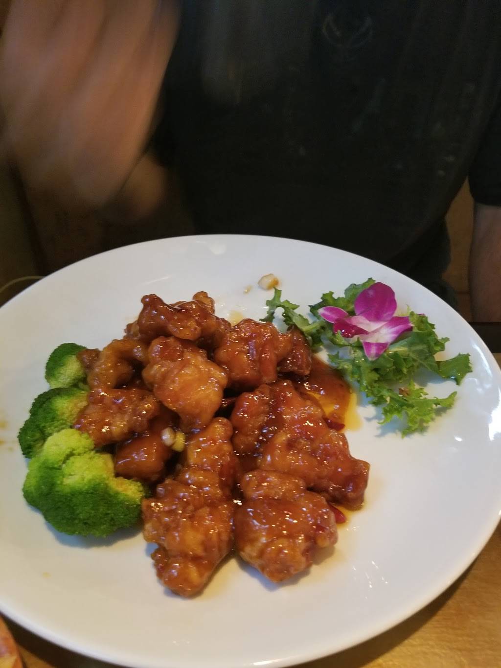 Toro Restaurant | restaurant | 1679 US-6, Carmel Hamlet, NY 10512, USA | 8452281700 OR +1 845-228-1700