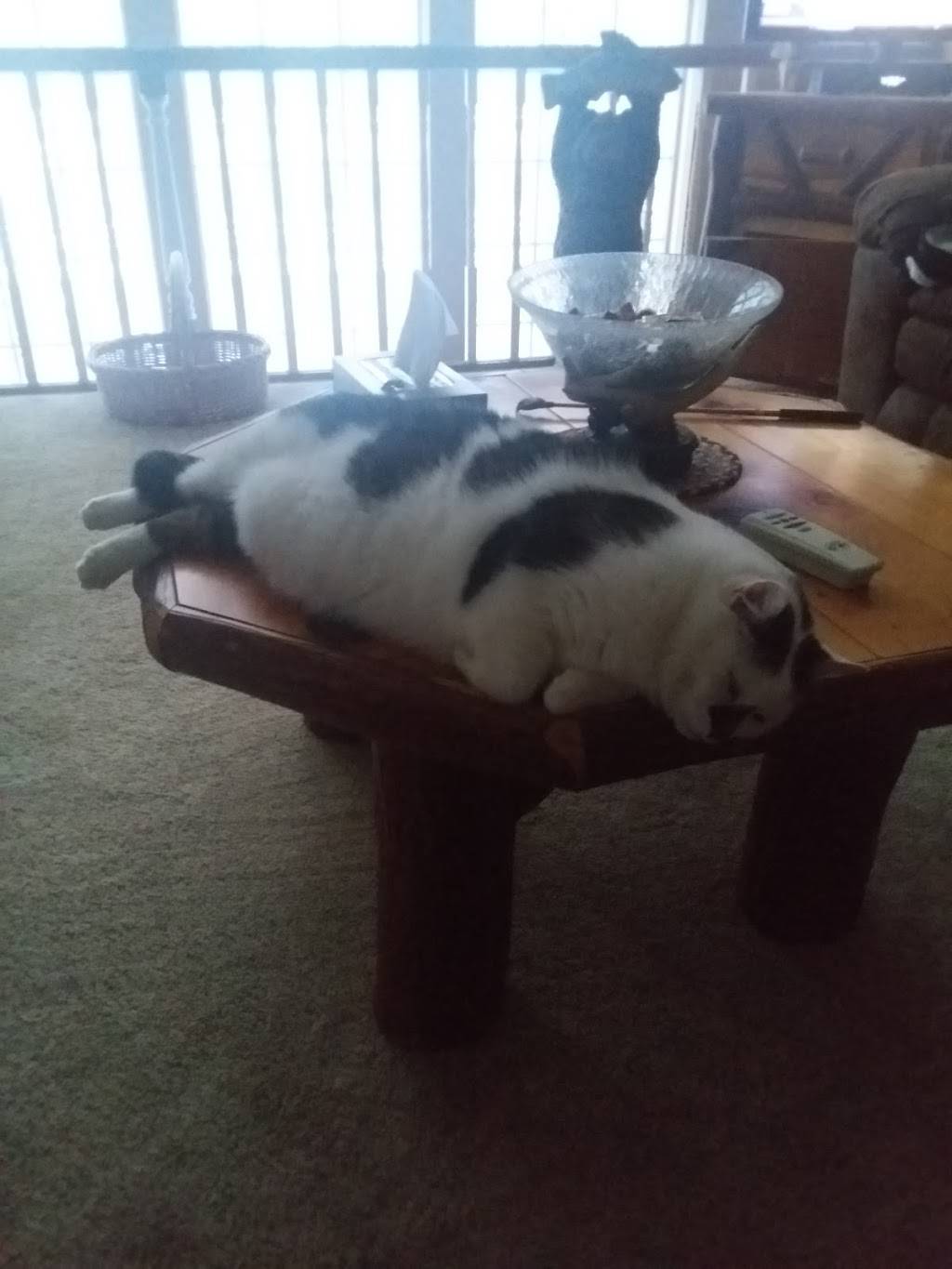 Pascarellas Restaurant | restaurant | 12 Washington St, Cattaraugus, NY 14719, USA | 7162573394 OR +1 716-257-3394