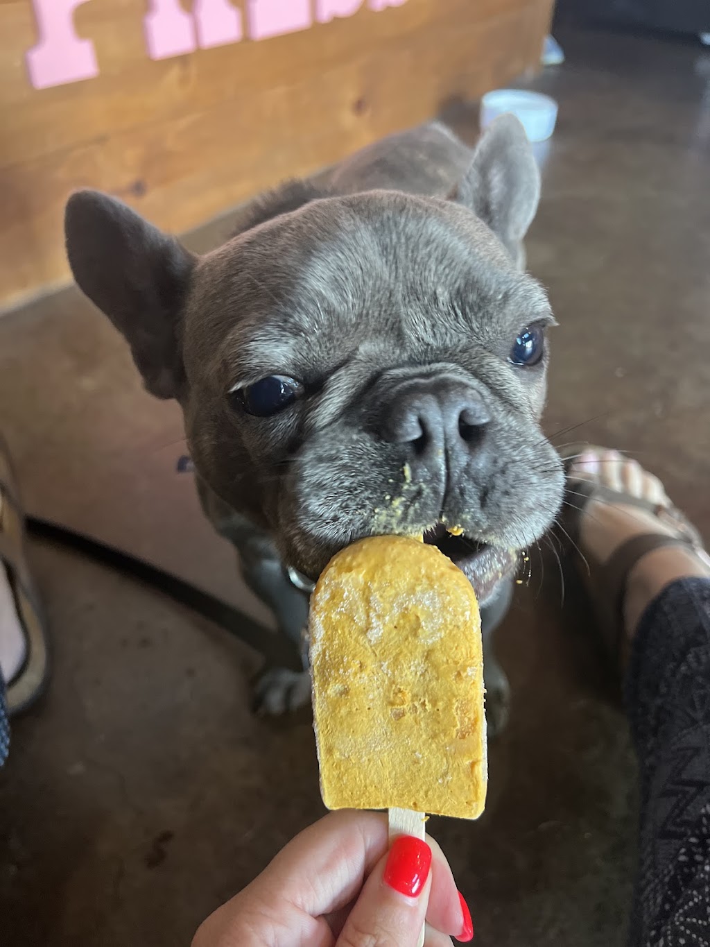 The Fresh Chef Press LLC. | restaurant | 775 Canal St, Manchester, NH 03101, USA | 6037167197 OR +1 603-716-7197