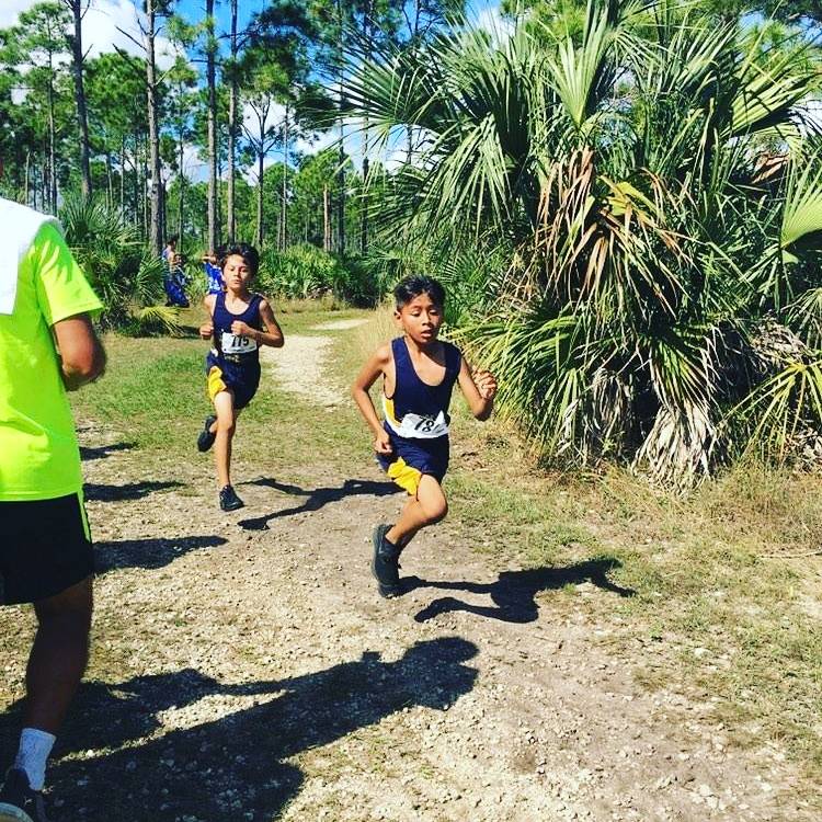 Fuego Latino | restaurant | 19130 SW 177th Ave, Miami, FL 33187, USA | 3052545417 OR +1 305-254-5417