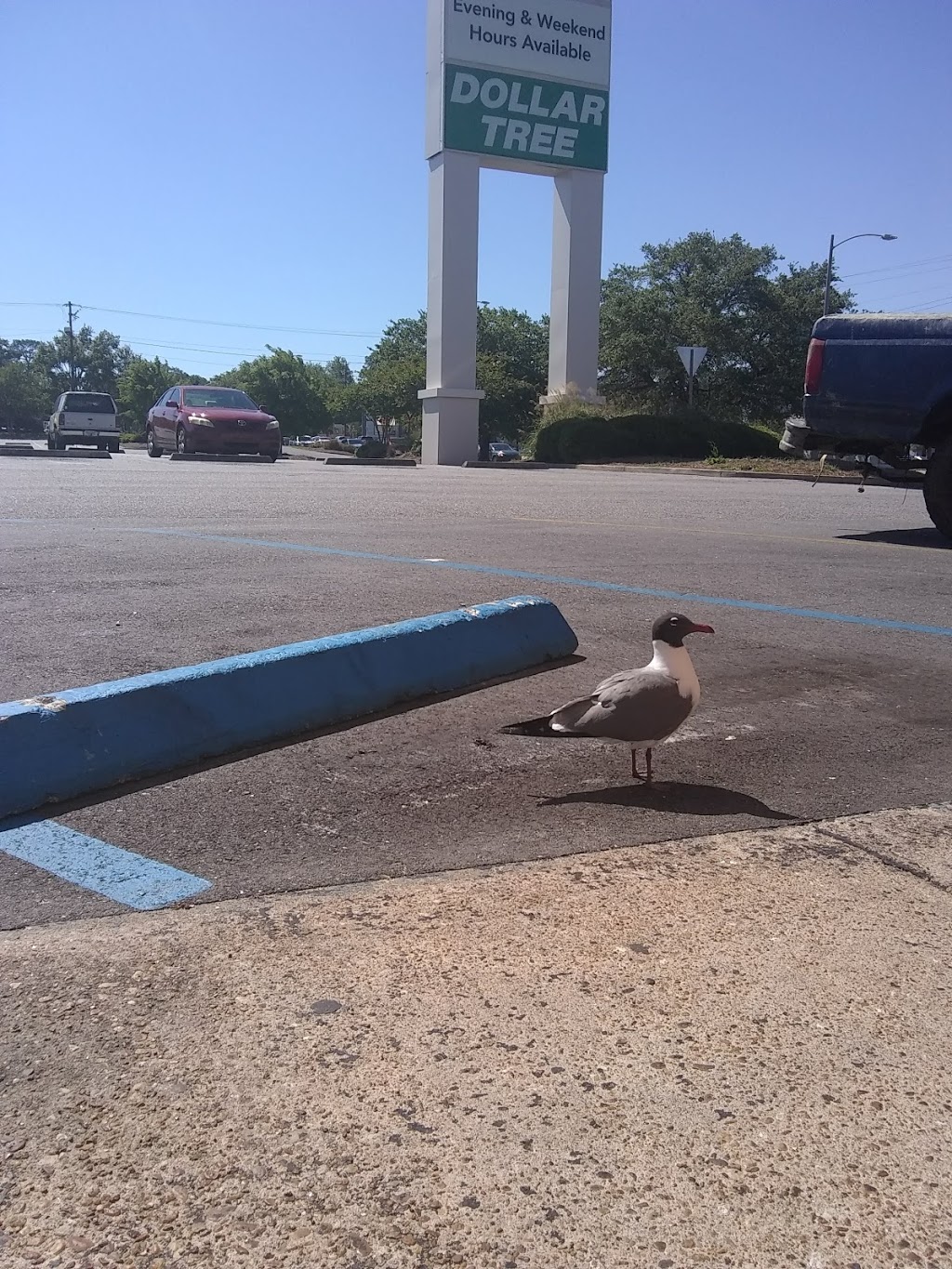 Popeyes Louisiana Kitchen | restaurant | 4009 Airport Blvd, Mobile, AL 36608, USA | 2514472343 OR +1 251-447-2343