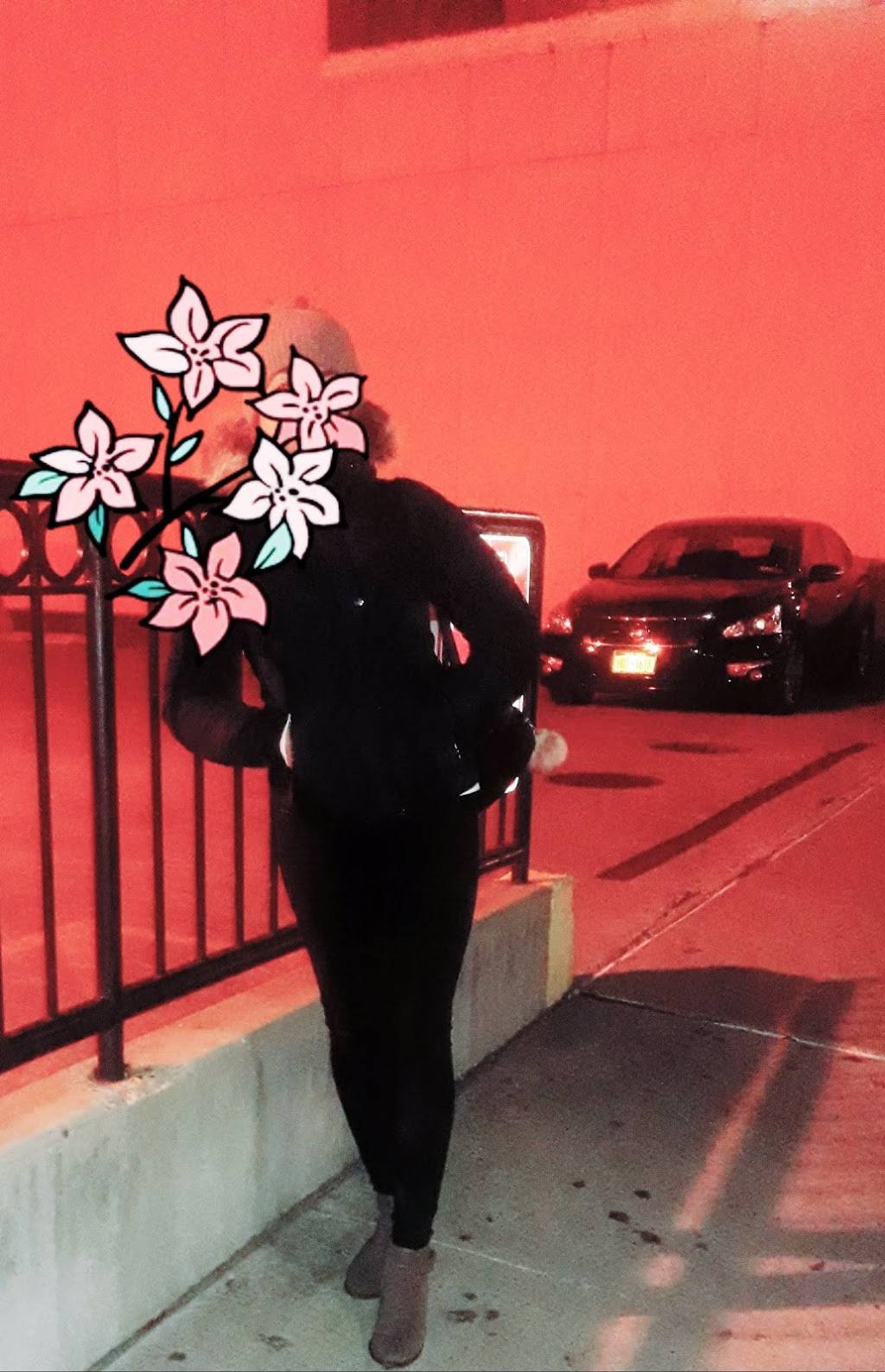 China Delight | restaurant | 722 4th Ave, Brooklyn, NY 11232, USA | 7187880888 OR +1 718-788-0888