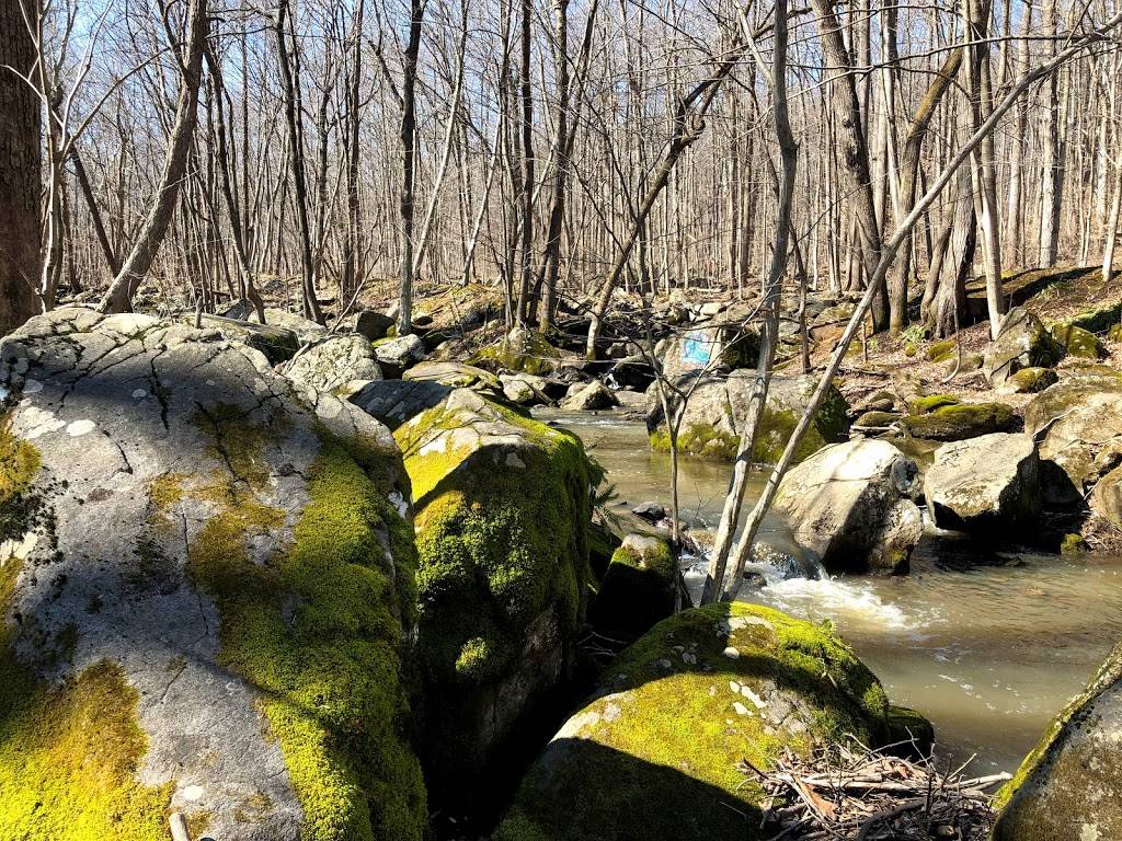 The Inn at St Peters Village | restaurant | 3471 St Peters Rd, St Peters, PA 19470, USA | 6104692600 OR +1 610-469-2600