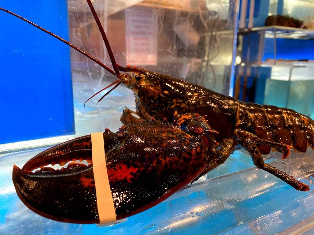 Seafood Palace | restaurant | 2172 86th St, Brooklyn, NY 11214, USA | 7186698288 OR +1 718-669-8288