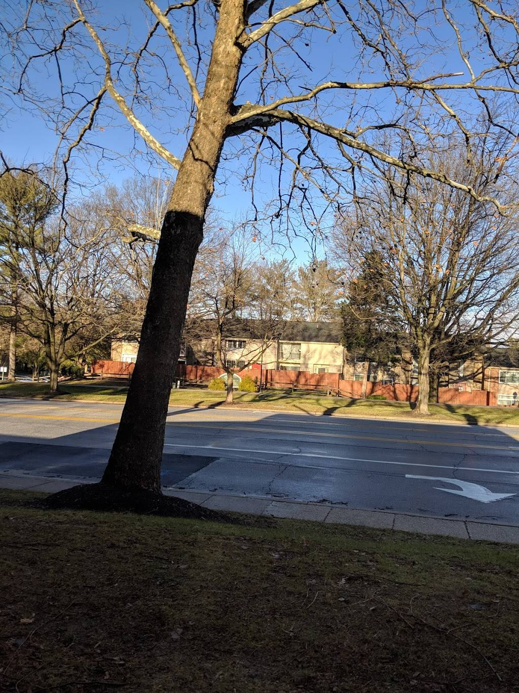 Starbucks | cafe | 5400 Lynx Ln, Columbia, MD 21044, USA | 2029452179 OR +1 202-945-2179