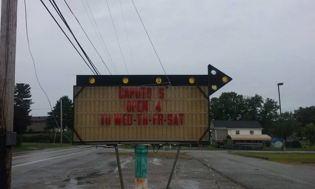 Caputos Dry Tavern Inn | restaurant | 987 N Eighty Eight Rd, Rices Landing, PA 15357, USA | 7245929559 OR +1 724-592-9559