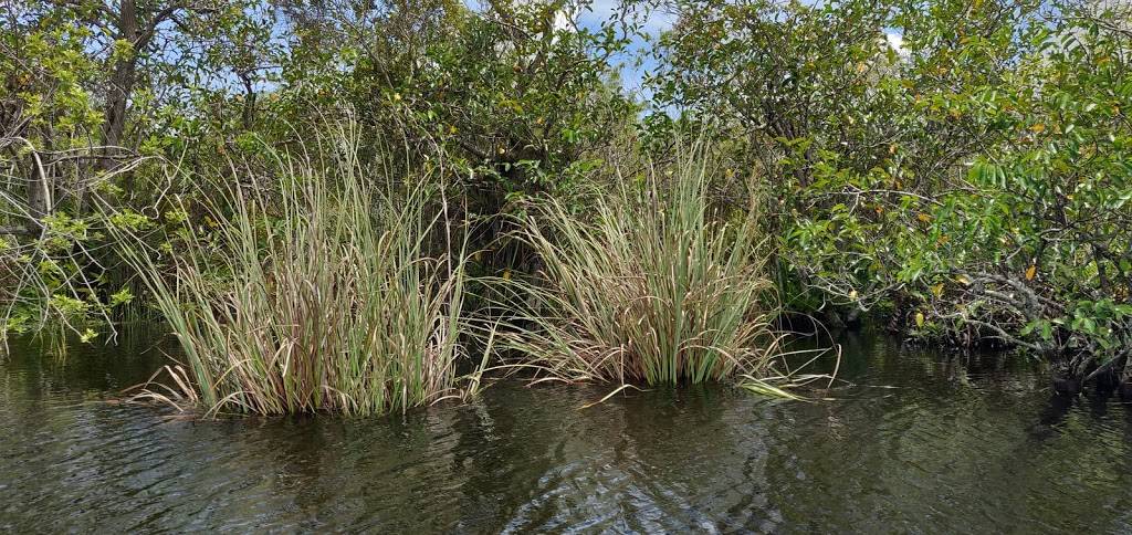 Coopertown The Original Airboat Tour | restaurant | 22700 SW 8th St, Miami, FL 33194, USA | 3052266048 OR +1 305-226-6048