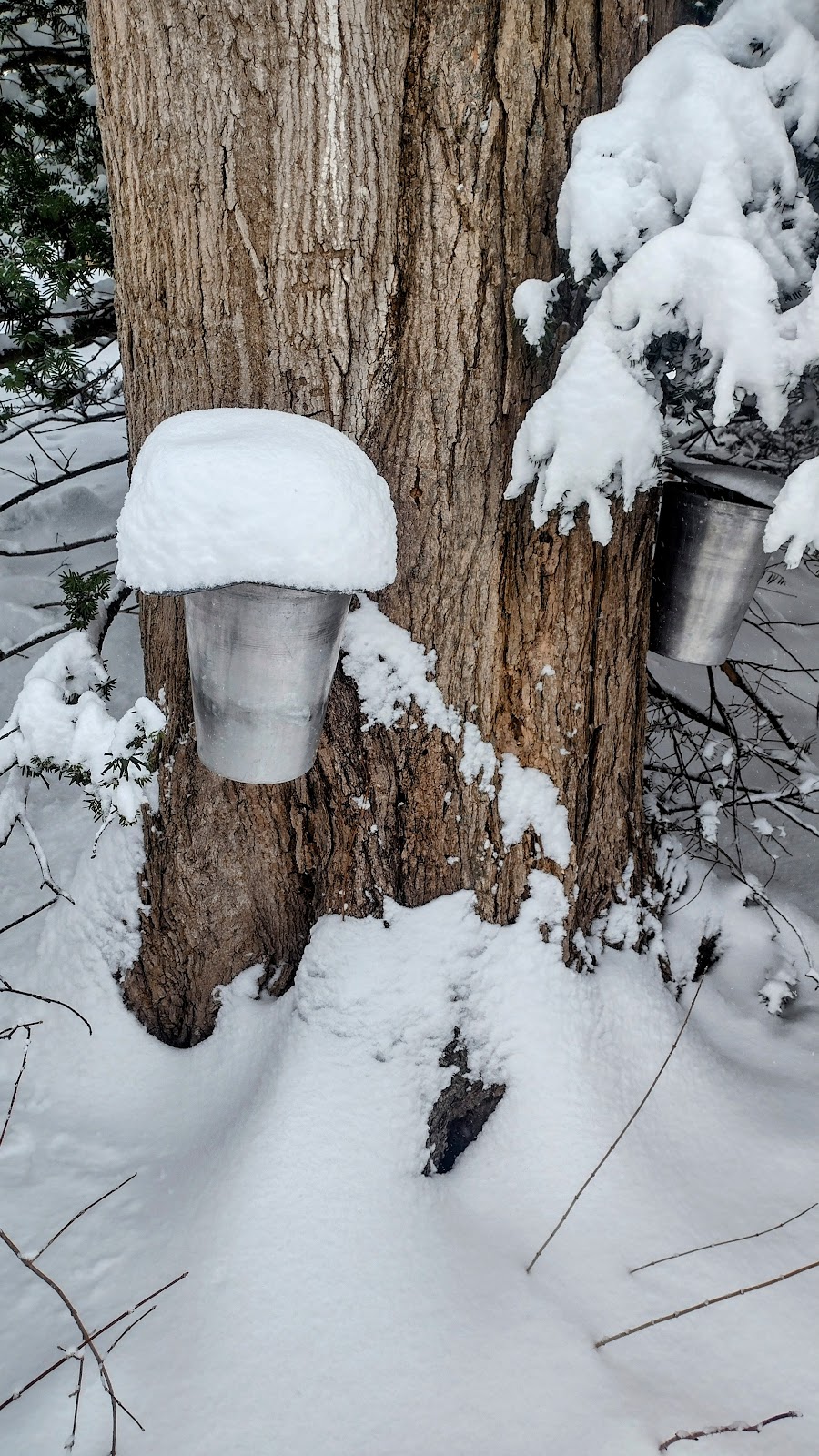 Hartland Sugar House | restaurant | 59 Hartland Terrace, Berlin, CT 06037, USA | 8604026667 OR +1 860-402-6667