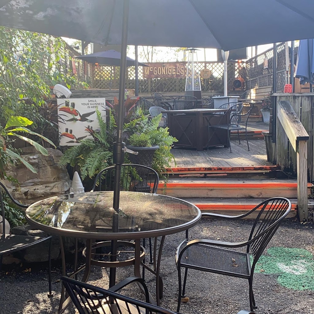 McGonigels Mucky Duck | restaurant | 2425 Norfolk St, Houston, TX 77098, USA | 7135285999 OR +1 713-528-5999