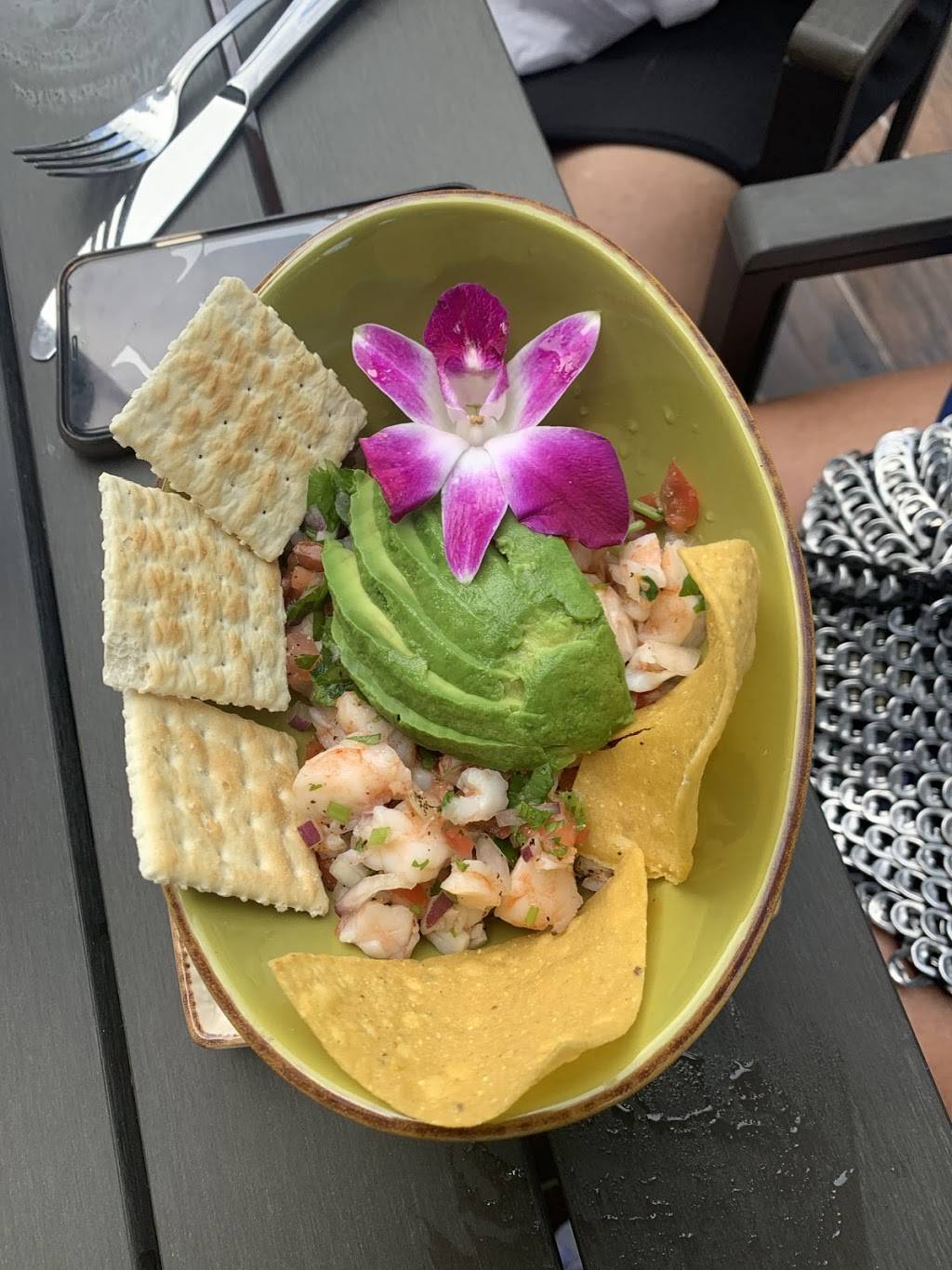 Salsas Cocina Palencia | restaurant | 120 Palencia Village Dr C 101, St. Augustine, FL 32095, USA | 9044299467 OR +1 904-429-9467