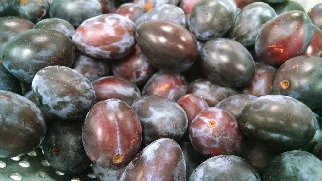 No Junk Inc | restaurant | 4634 E Marginal Way S, Seattle, WA 98134, USA | 8666610703 OR +1 866-661-0703