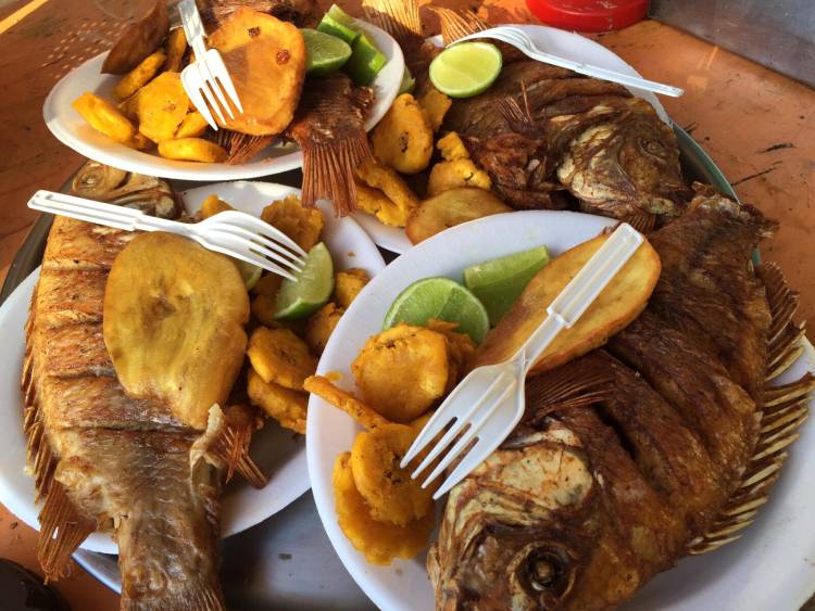 La Cocina Dominicana | restaurant | 4407 Nolensville Pike, Nashville, TN 37211, USA | 6157898593 OR +1 615-789-8593