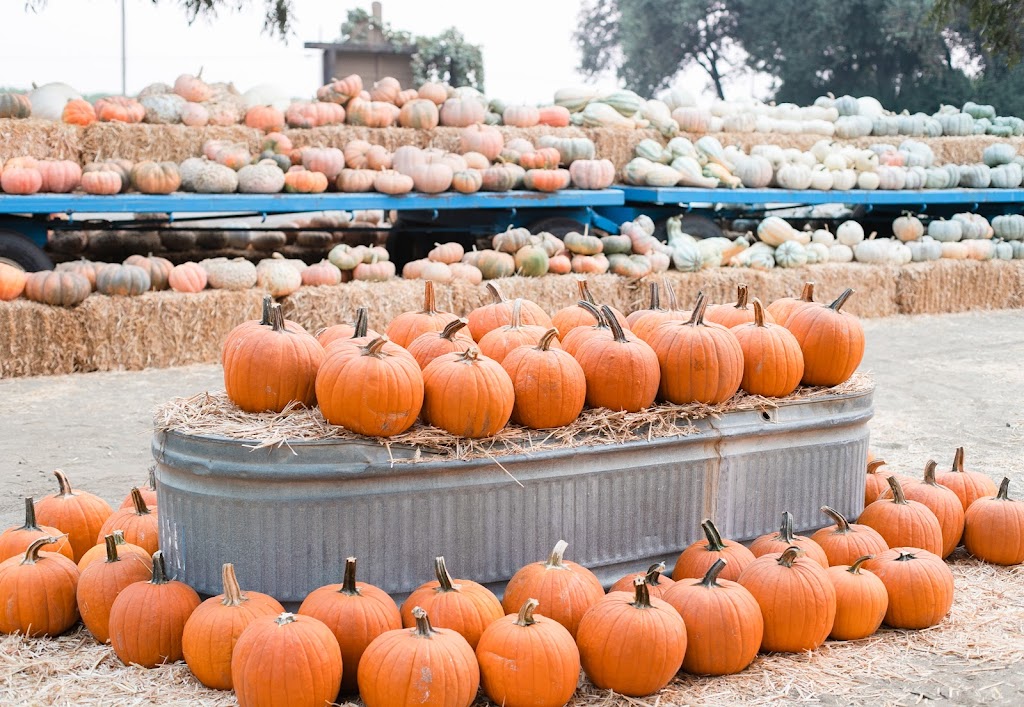 Vista Ranch | restaurant | 7326 E, CA-140, Merced, CA 95340, USA | 2097228200 OR +1 209-722-8200