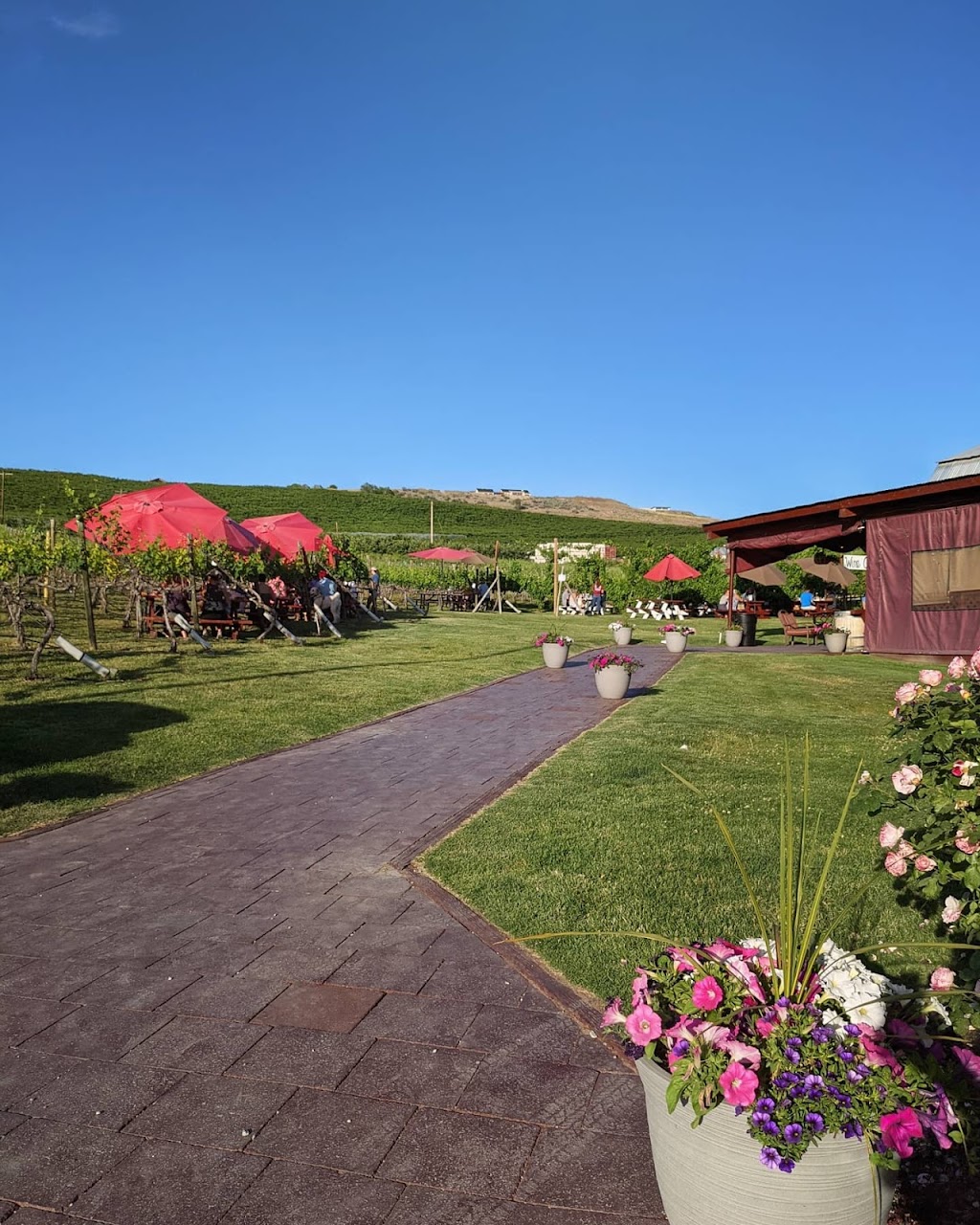 Lake Chelan Winery | restaurant | 3519 WA-150, Chelan, WA 98816, USA | 5096879463 OR +1 509-687-9463