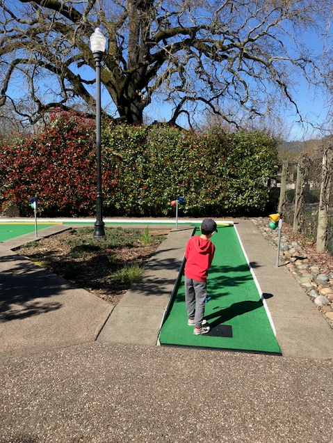 Sonoma Family Fun Center | meal takeaway | 19171 Sonoma Hwy, Sonoma, CA 95476, USA | 7073437233 OR +1 707-343-7233