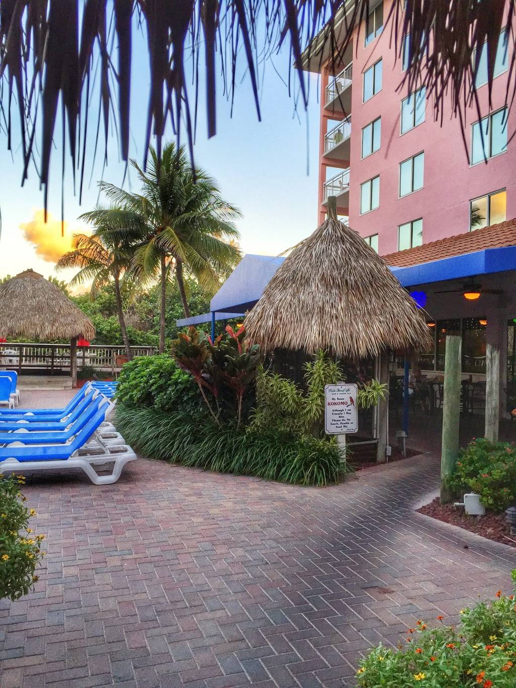 The Islander Grill and Tiki Bar | restaurant | 181 S Ocean Ave, Palm Beach Shores, FL 33404, USA | 5618428282 OR +1 561-842-8282