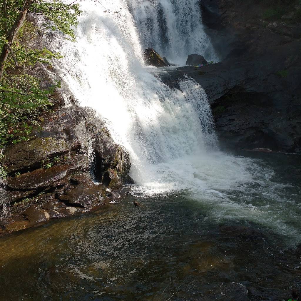 Hardees | restaurant | 730 New Hwy 68, Sweetwater, TN 37874, USA | 4233375883 OR +1 423-337-5883