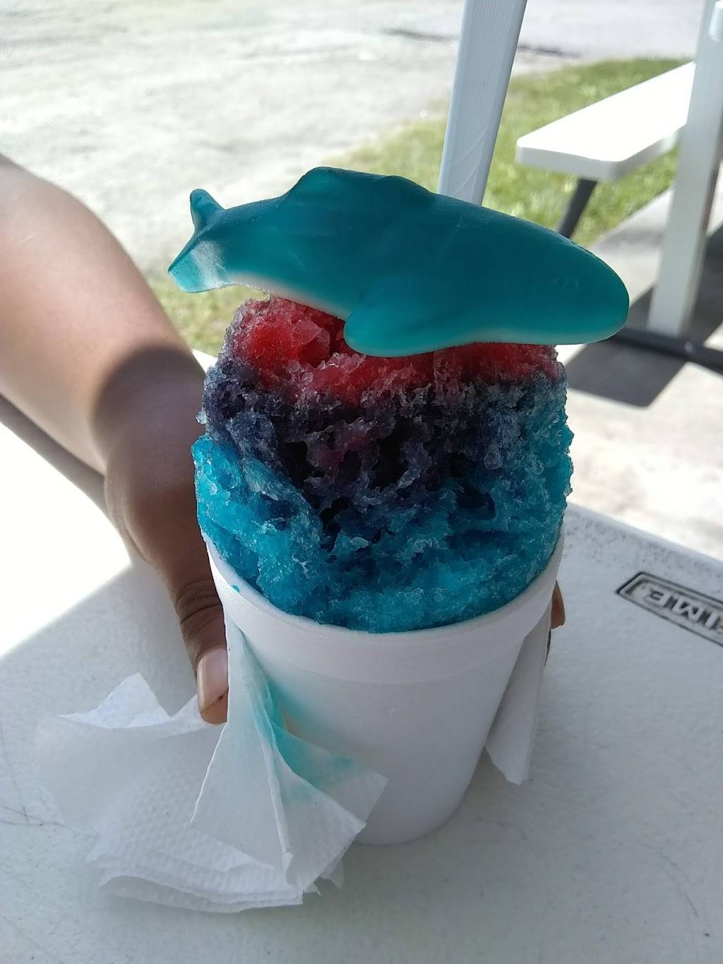 Pelicans SnowBalls | restaurant | 1020 US-92, Auburndale, FL 33823, USA | 8635149542 OR +1 863-514-9542