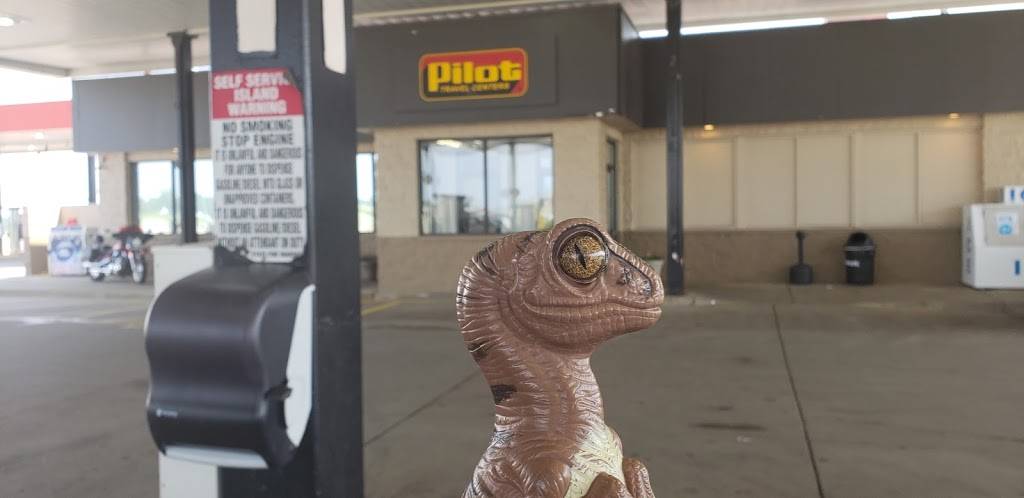 Pilot Travel Center | restaurant | 7205 S State Rd, Ionia, MI 48846, USA | 6165276520 OR +1 616-527-6520