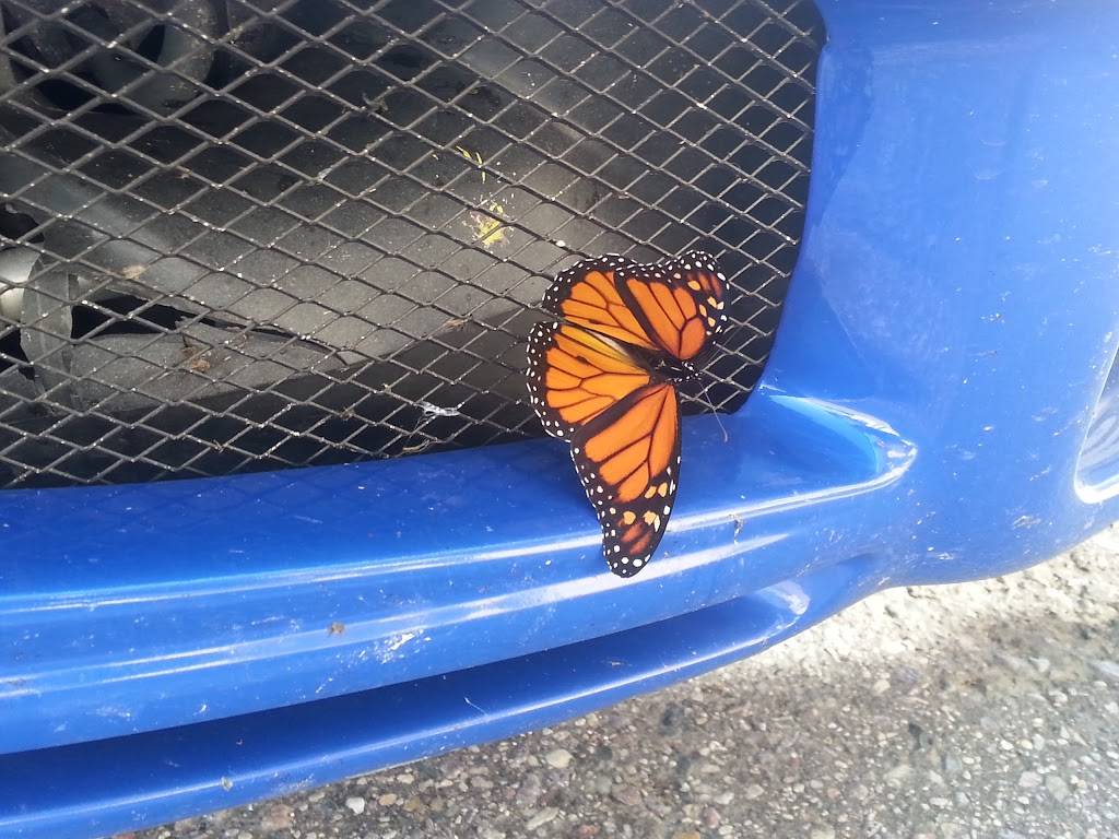 BP | restaurant | 1030 E Clifton St, Tomah, WI 54660, USA | 6083723803 OR +1 608-372-3803