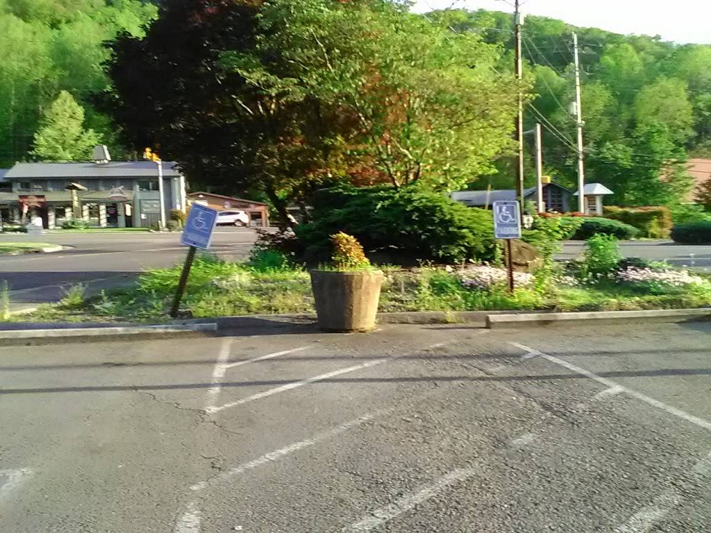 Subway | restaurant | 1359 East Pkwy, Gatlinburg, TN 37738, USA | 8654368726 OR +1 865-436-8726