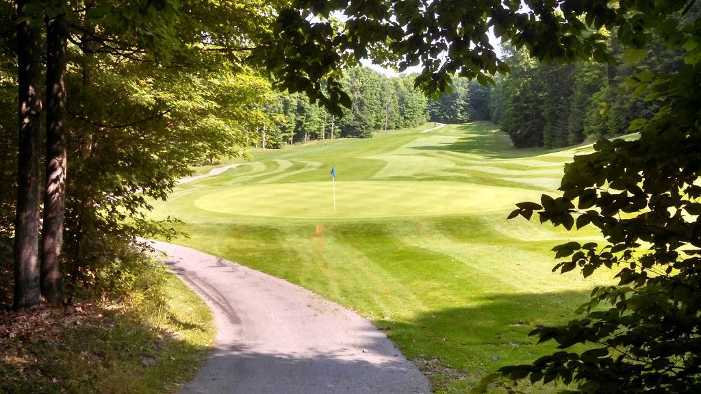 Grandview Golf Club | restaurant | 3003 Hagni Rd NE, Kalkaska, MI 49646, USA | 2312583244 OR +1 231-258-3244