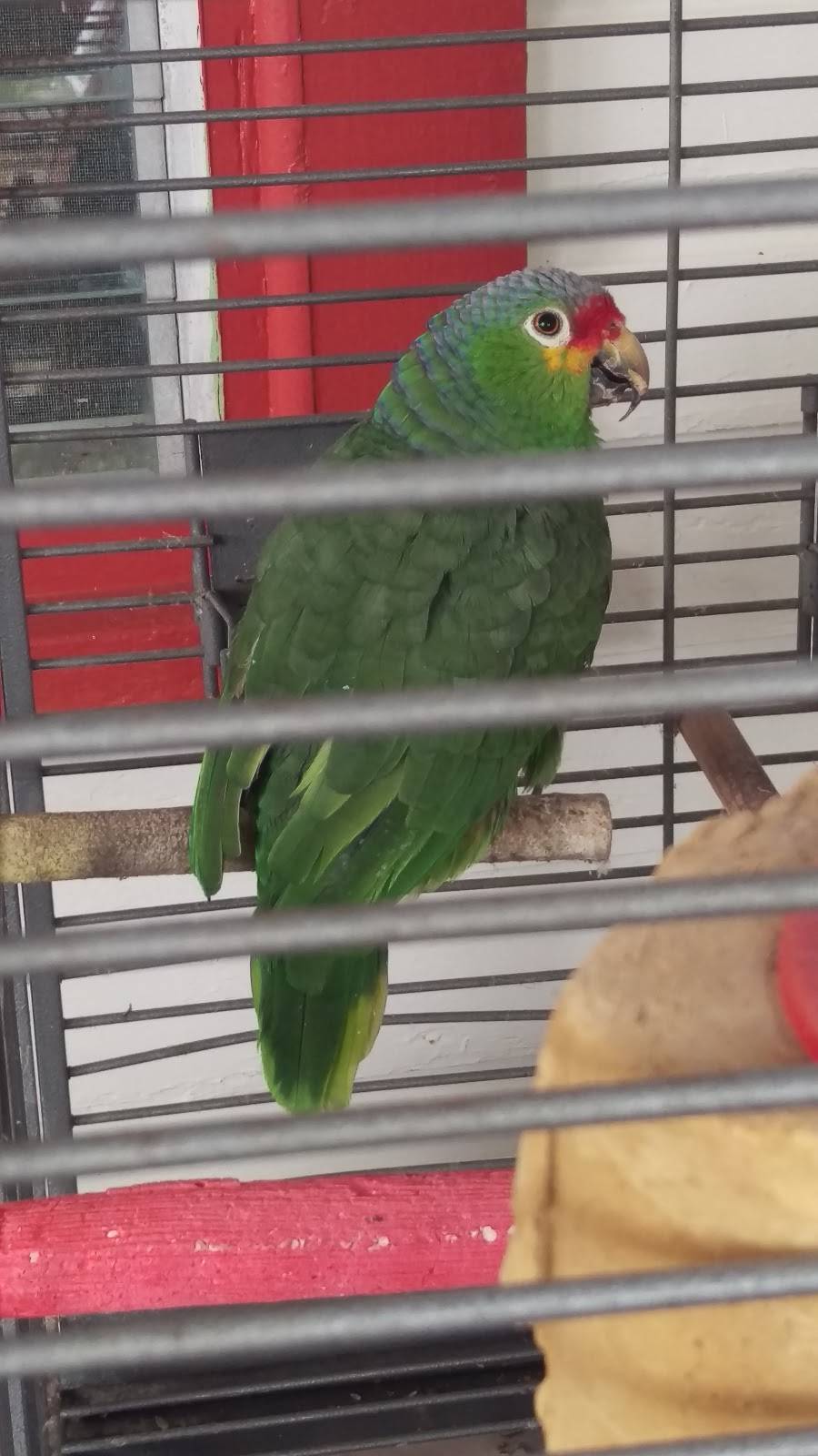 Piccolo Italian Restaurant | restaurant | 5354 Duncan Rd, Punta Gorda, FL 33982, USA | 9416212200 OR +1 941-621-2200