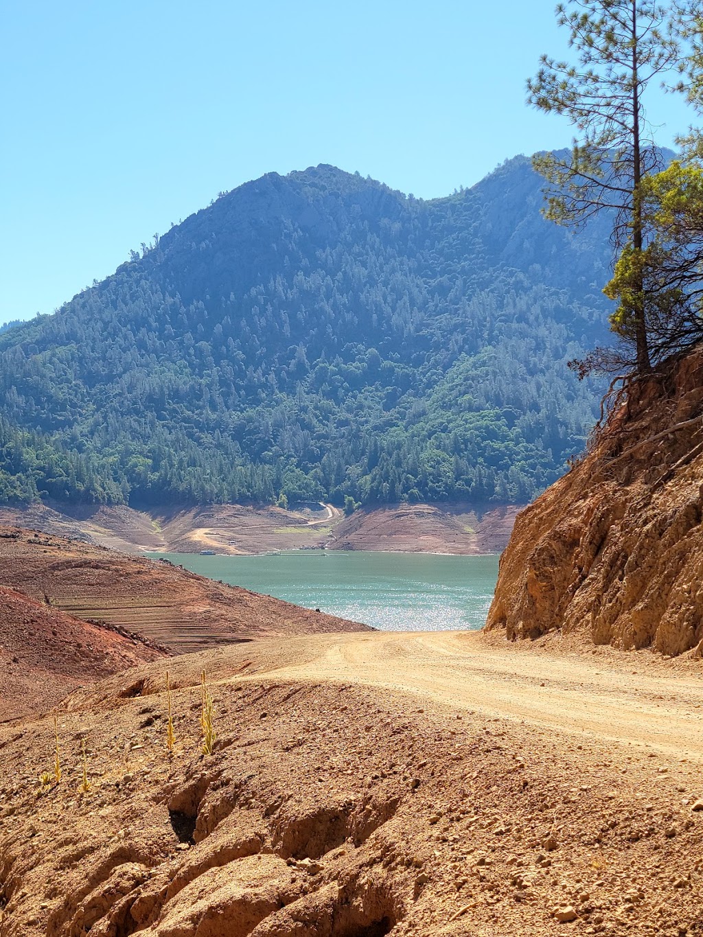 Lake Shasta Caverns National Natural Landmark | meal takeaway | 20359 Shasta Caverns Rd, Lakehead, CA 96051, USA | 8007952283 OR +1 800-795-2283