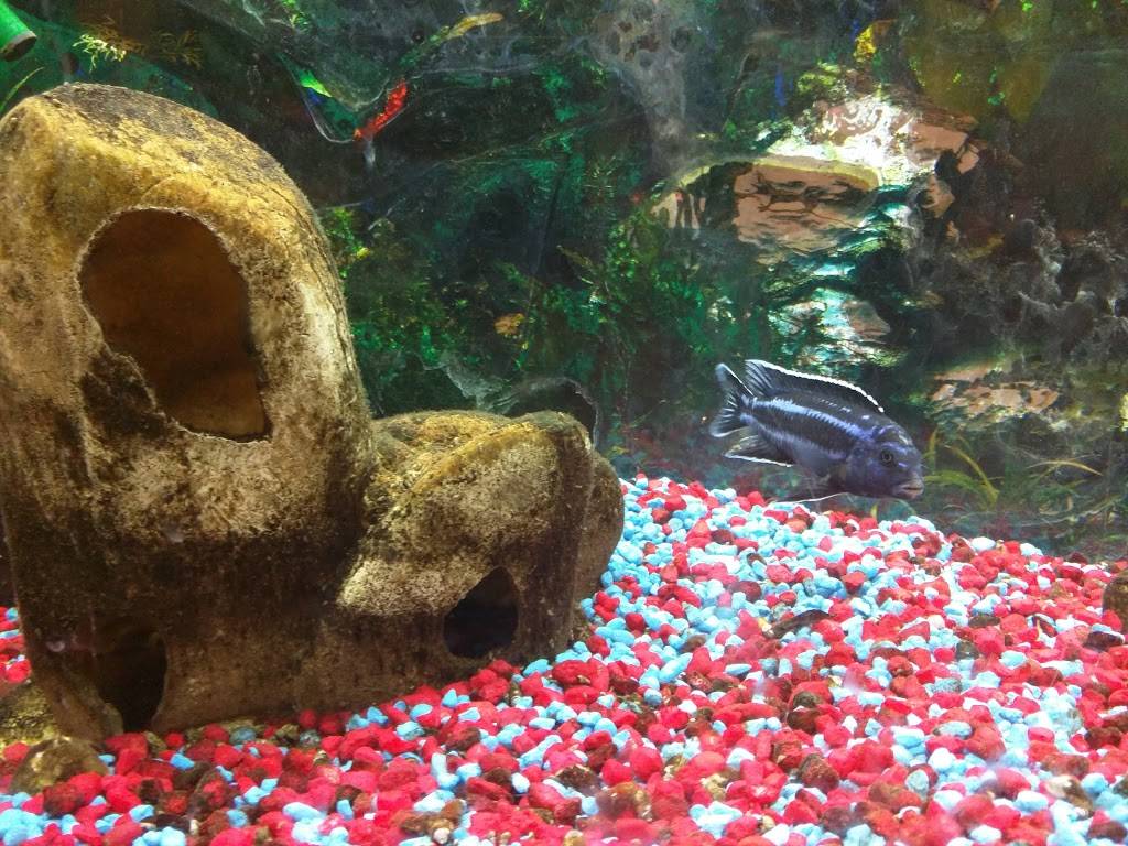 Hakka Wok | restaurant | 1851 W Golf Rd, Schaumburg, IL 60194, USA | 8478820910 OR +1 847-882-0910