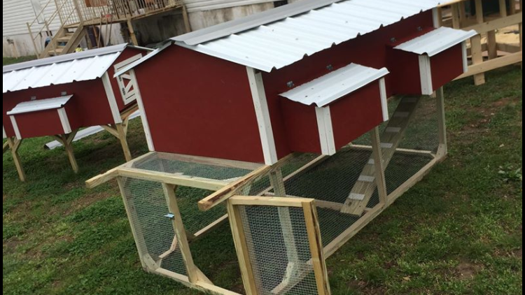 Red Barn Chicken Coop Tractors | restaurant | 932 Monteagle Falls Rd, Monteagle, TN 37356, USA | 9314093193 OR +1 931-409-3193