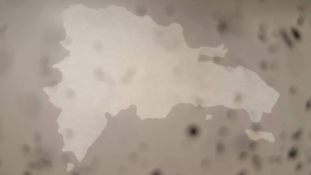 Delicias Dominicanas | restaurant | 12700 SW 122nd Ave #119, Miami, FL 33186, USA | 7864291170 OR +1 786-429-1170