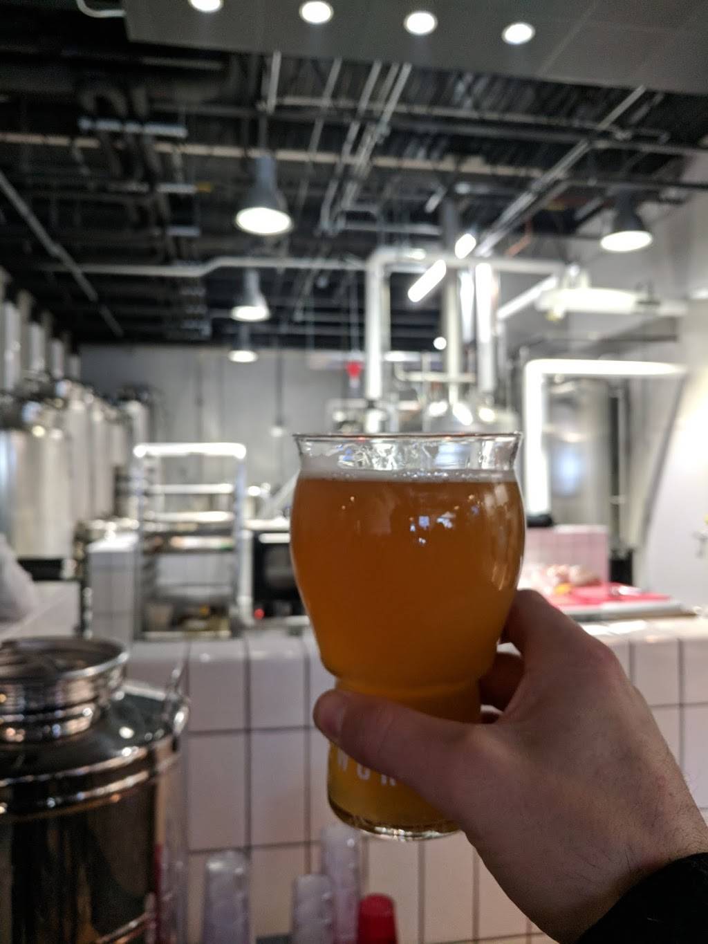 Working Draft Beer Company | restaurant | 1129 E Wilson St, Madison, WI 53703, USA | 6087095600 OR +1 608-709-5600