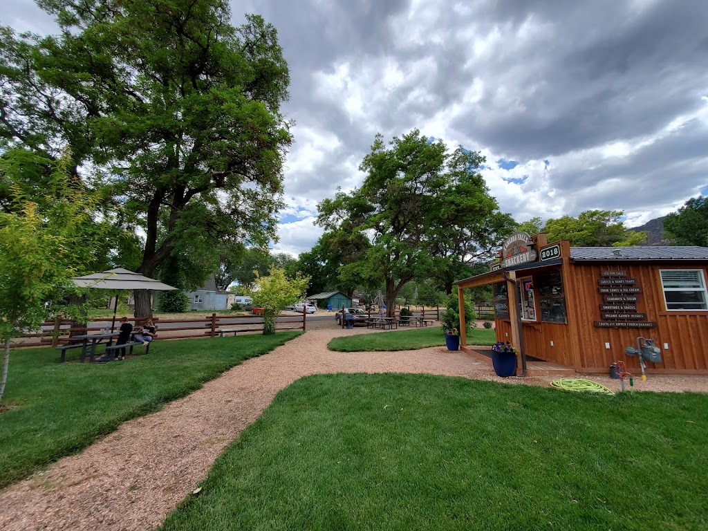 Kanarra Falls Snackery | meal takeaway | 80 North Main HC 65 Box 164, Kanarraville, UT 84742, USA | 4355907900 OR +1 435-590-7900