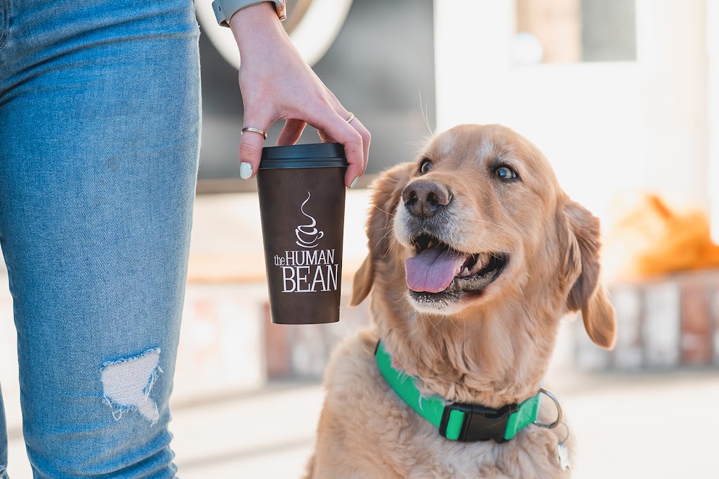 The Human Bean | cafe | 406 N Keller Dr, Effingham, IL 62401, USA | 2173420319 OR +1 217-342-0319