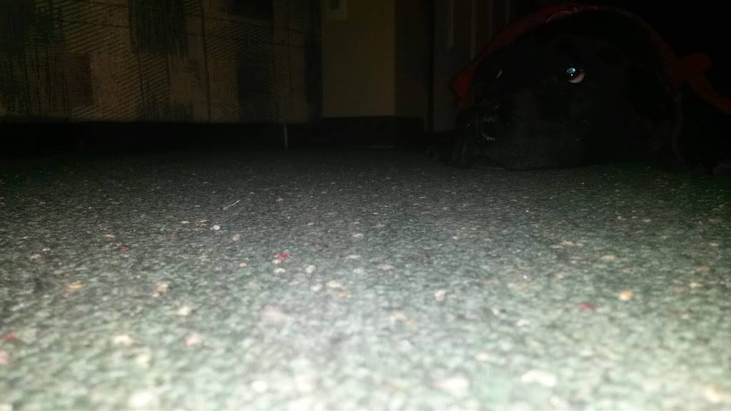 Subway | restaurant | 868 N Van Dyke Rd, Almont, MI 48003, USA | 8107988002 OR +1 810-798-8002