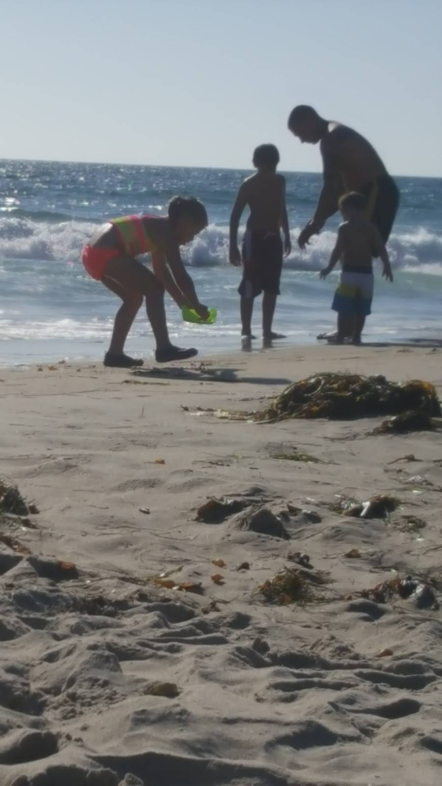 Saras Mexican Food | restaurant | 2907 Mission Blvd, San Diego, CA 92109, USA | 8584884436 OR +1 858-488-4436