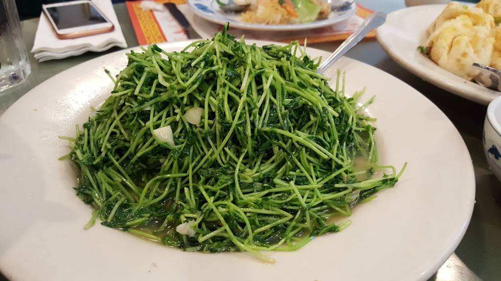 Hunan East | restaurant | 724 Richmond Rd, Cleveland, OH 44143, USA | 2163812266 OR +1 216-381-2266