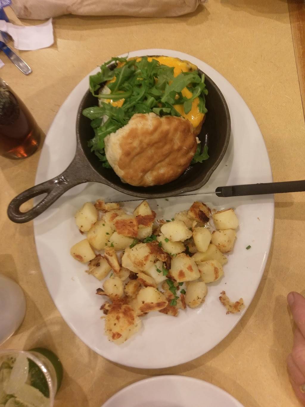 First Watch - Countryside Village Square | restaurant | 2569 Countryside Blvd, Clearwater, FL 33761, USA | 7277128769 OR +1 727-712-8769