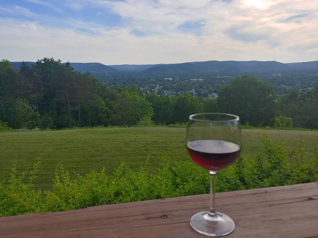 Hill Top Inn | restaurant | 171 Jerusalem Hill Rd, Elmira, NY 14901, USA | 6077326728 OR +1 607-732-6728