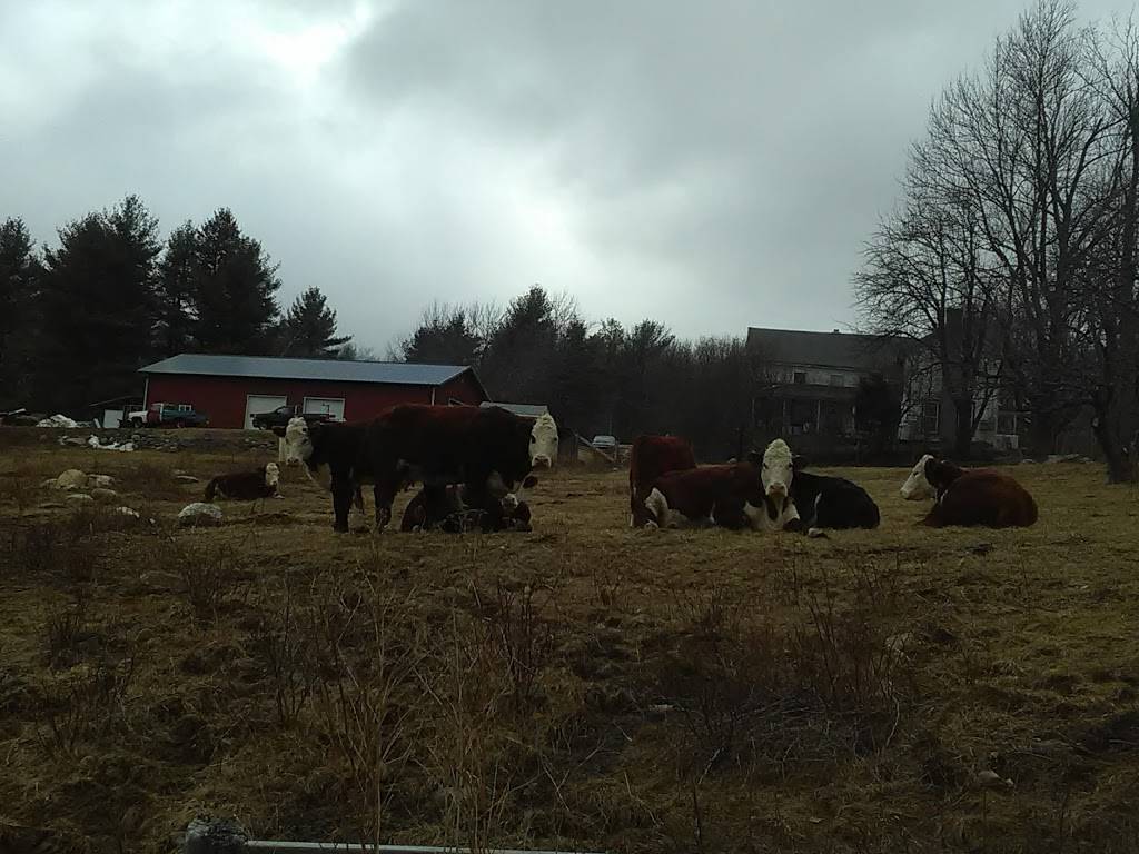 Maple Corner Farm | restaurant | 794 Beech Hill Rd, Granville, MA 01034, USA | 4133578829 OR +1 413-357-8829