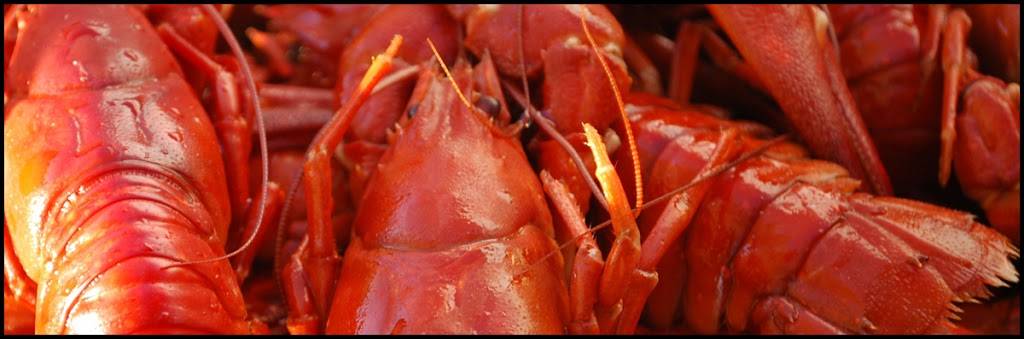 Sammys Pizza & Ice Cream Parlor | restaurant | 118 6th St NE, Massillon, OH 44646, USA | 3303254742 OR +1 330-325-4742