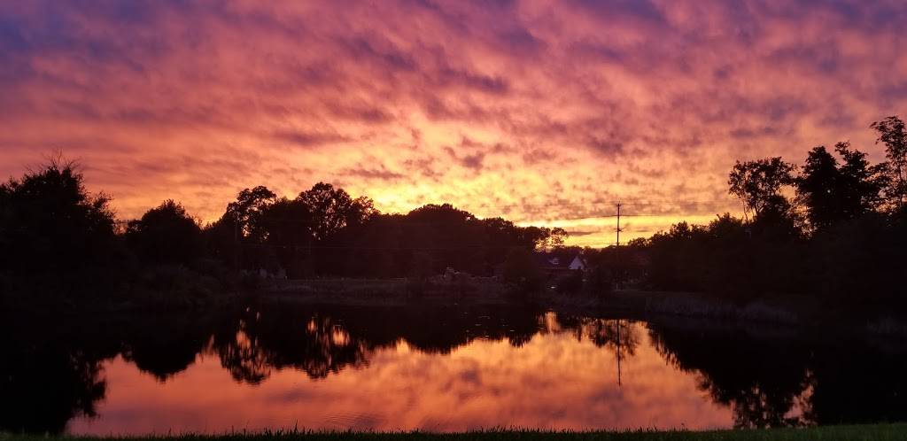 Winking Lizard Tavern | restaurant | 7995 E Broad St, Blacklick, OH 43004, USA | 6144903070 OR +1 614-490-3070