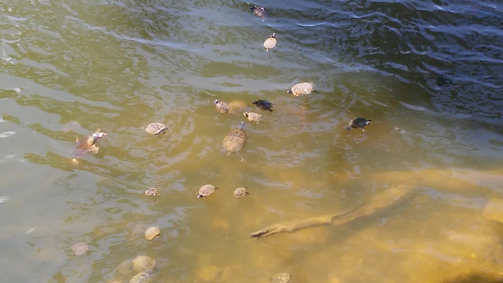 Seminole Wind Restaurant-Thmsvll | restaurant | 14815 US-19 S, Thomasville, GA 31792, USA | 2292270622 OR +1 229-227-0622