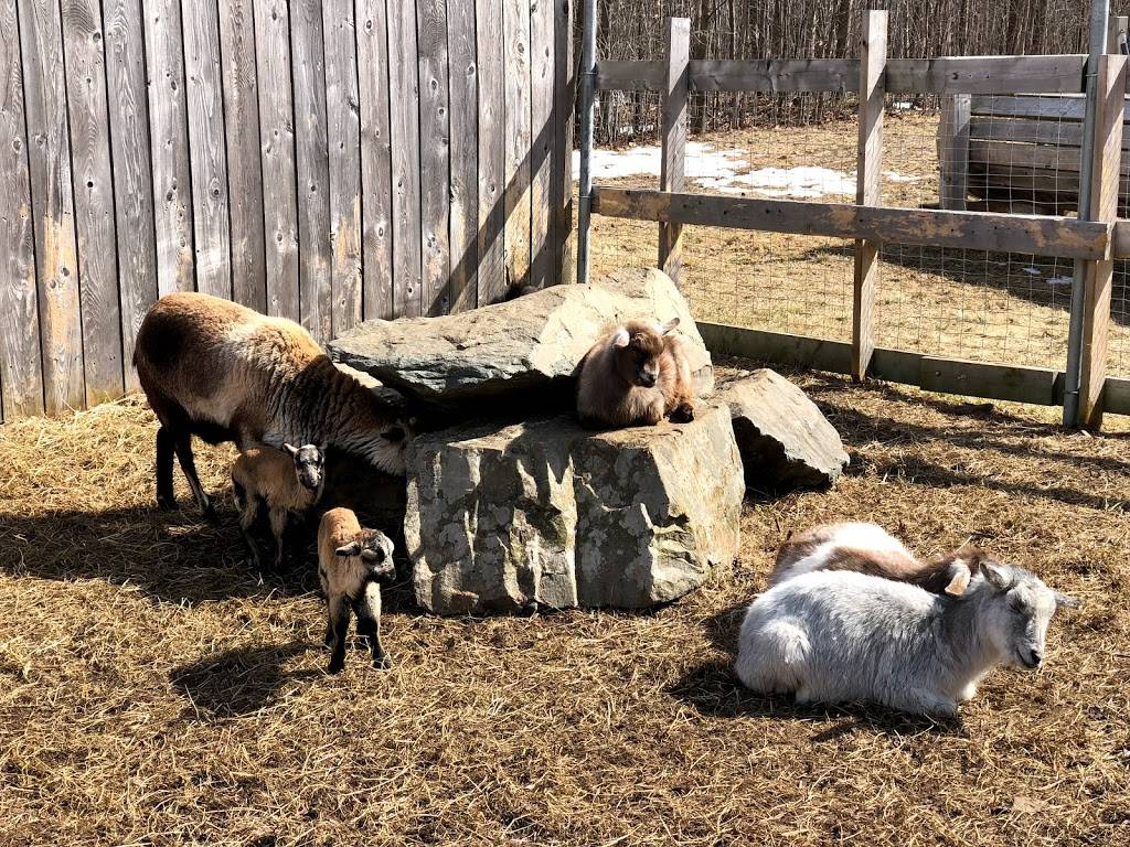 La Grillade | restaurant | 106 Rue des Érables, Saint-Alphonse-de-Granby, QC J0E 2A0, Canada | 4503755959 OR +1 450-375-5959