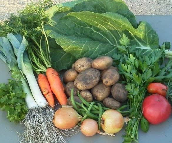 Campo di Bella | restaurant | 10229 Sharp Rd, Mt Horeb, WI 53572, USA | 6083209287 OR +1 608-320-9287