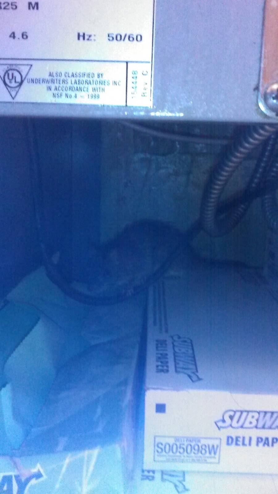 Subway Restaurants | restaurant | 2217 W Ben White Blvd, Austin, TX 78704, USA | 5124448850 OR +1 512-444-8850